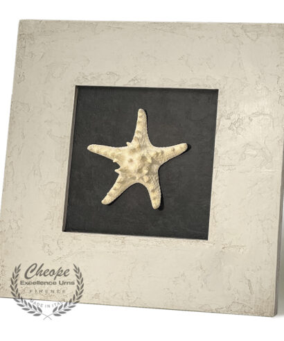 Urna quadro Zeffiro White Star in legno di alta decorazione, per la custodia delle ceneri da cremazione onoranze funebri, di grande versatilità di ambientazione per onorare la memoria del proprio caro in modo elegante e per tenerlo sempre insieme a noi in un contesto di armonia e discrezione